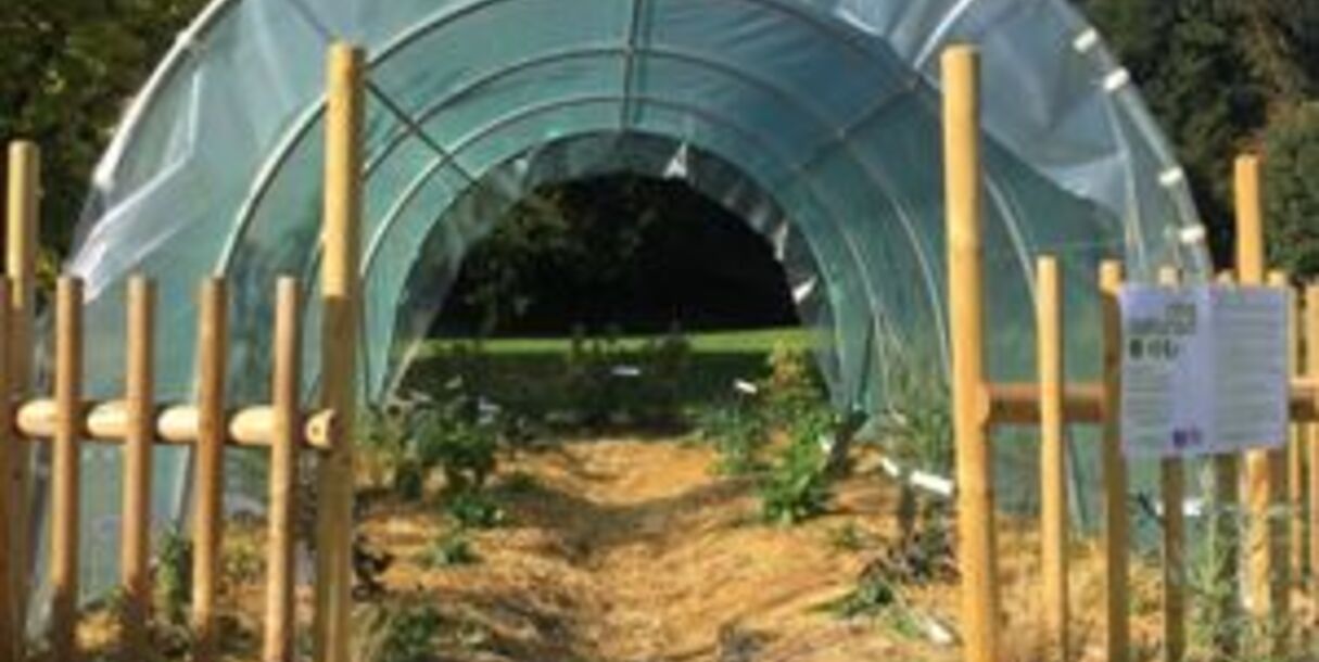 un-giardino-tutto-da-mangiare