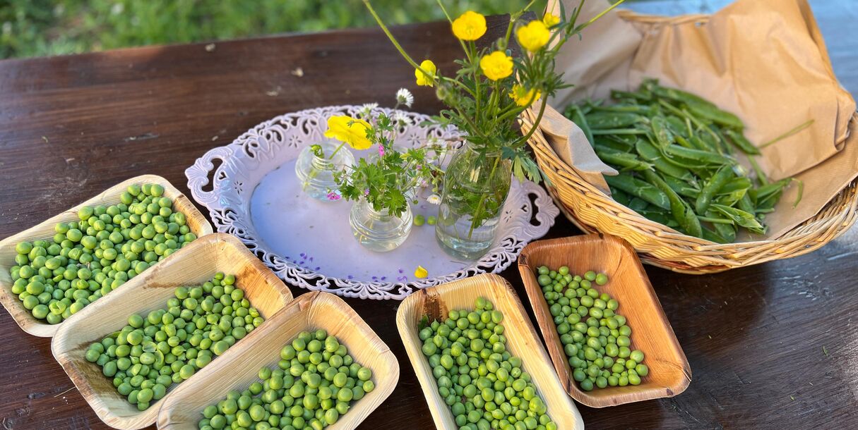 nuova-sezione-primavera-c-e-ancora-posto-per-diventare-grandi-con-noi
