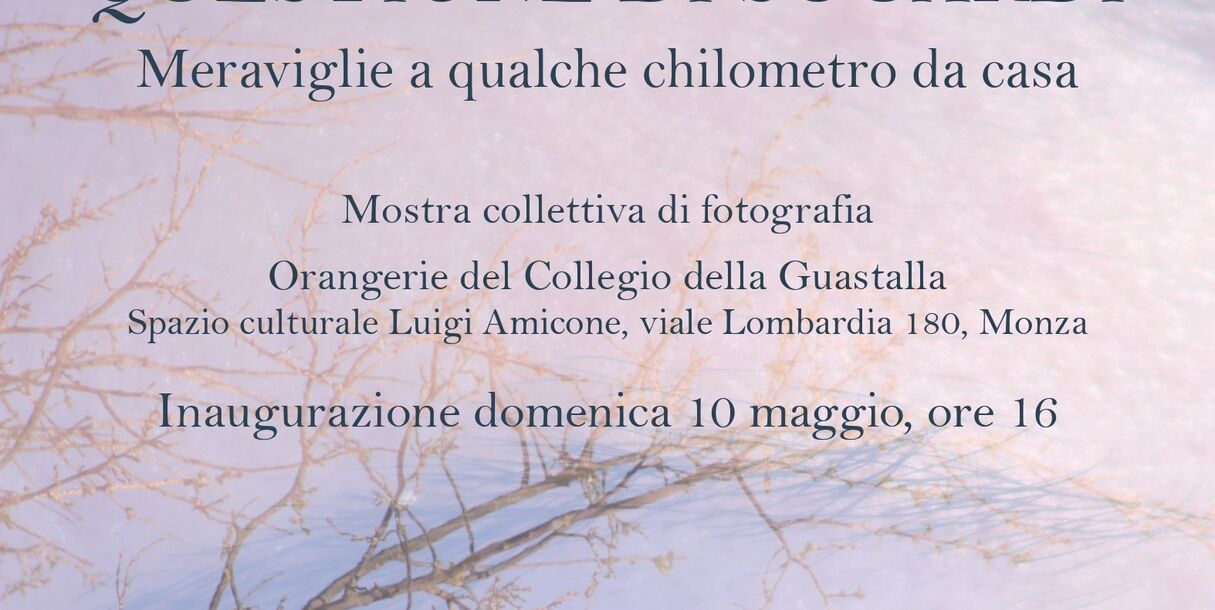 questione-di-sguardi-br-mostra-in-orangerie